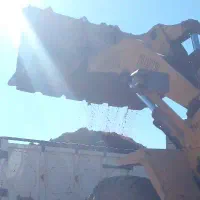 کود گاوی پاک بدون ناخالصی