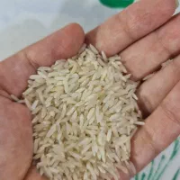 برنج ایرانی تنظیم بازار ،بشرط پخت (عمده و تکی)