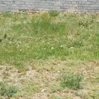 فروش-زمین-در-یوسف-رضا-ورامین