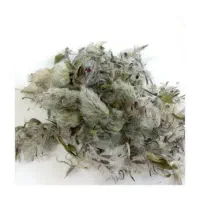 چای کوهی (توکلیجه)