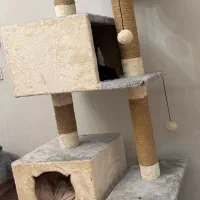 اسکراچر گربه بسیار بزرگ و نو