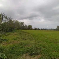 3000 متر زمین کشاورزی سنتی|فروش زمین و ملک کلنگی|شفت, |دیوار