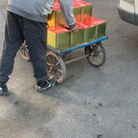 عسل طبیعی تیسپون عمده بهاره ۱۴۰۴ ، عسل طبیعی خام|خوردنی و آشامیدنی|تهران, سهروردی|دیوار