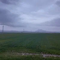 زمین-کشاورزی