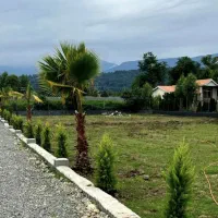 زمین سند۶دانگ/آماده ساخت/نورامیرآباد