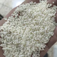 برنج سورت بوجار سوپر اعلا دمسیاه مینودشت مستقیم|خوردنی و آشامیدنی|مینودشت, |دیوار
