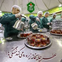 تعمیرات لوازم برقی وگازی خانگی
