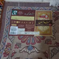 قالی شش‌متری|فرش|مسجد سلیمان, |دیوار