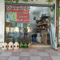 انواع دانه و ملزومات پرندگان کفتر عروس هلندی و...|لوازم جانبی حیوانات|ورامین, ورامین|دیوار