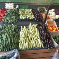 فروش طبق میوه فروشی|فروشگاه و مغازه|رشت, دیلمان|دیوار