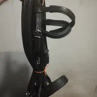 وسایل|اسب و تجهیزات اسب‌سواری|موچش, |دیوار