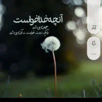 راهنمایی می خوام|فعالیت داوطلبانه تحقیقاتی|خاش, |دیوار