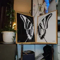 نقاشی