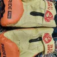 دستکش بوکس نو کفش فوتبالی مخصوص چمن|تجهیزات ورزشی|ساوه, |دیوار