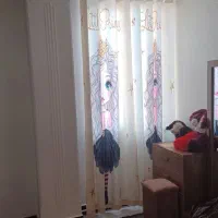 نصب و شستشو انواع پرده ،طراحی ،دوخت،|خدمات پیشه و مهارت|نظرآباد, نظرآباد|دیوار