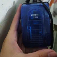 آکواریوم|ماهی|میانه, |دیوار