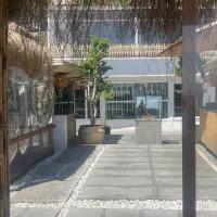 کاپتان اردر سالنکار