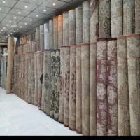 قالی تمیز در حد