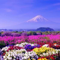 راهنمایی جهت تفریح