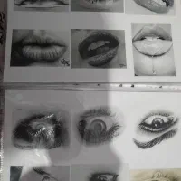 آلبوم عکس برای طراحی پرتره|تابلو، نقاشی، عکس|رودهن, |دیوار