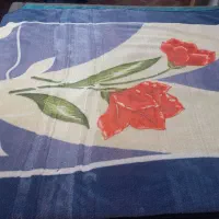 سوئیت مبله روزانه|اجارهٔ کوتاه‌مدت آپارتمان و سوئیت|شیراز, دلگشا|دیوار