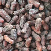 فروش خرمای پیارم|خوردنی و آشامیدنی|قصرشیرین, |دیوار