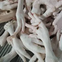 کارگر ساده خانم و اقا