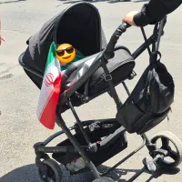 کالسکه مشکی روما دلیجان