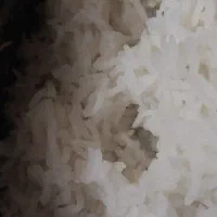 برنج فجر گرگان|خوردنی و آشامیدنی|کاشان, درب اصفهان|دیوار