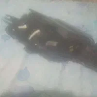 چراغ جلو سمت راننده 206