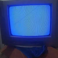 تلوزیون|تلویزیون و پروژکتور|میناب, |دیوار