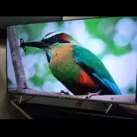 ۶۵ ناسیونال اندروید،اسمارت،4K،FHDدرحدنو