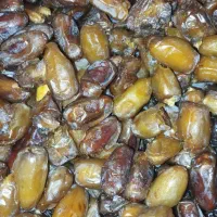 خرمای و رطب تازه