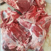 توزیع و عرضه گوشت گرم گوساله|خوردنی و آشامیدنی|شیراز, پشم شیشه|دیوار