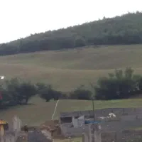 فروش زمین|فروش زمین و ملک کلنگی|مرزن‌آباد, |دیوار