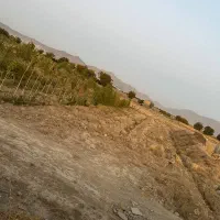 فروش باغ و زمین کشاورزی نزدیک شهر|فروش دفتر صنعتی، کشاورزی، تجاری|ملایر, |دیوار