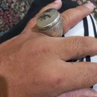 انگشتر شجر کلکسیونی