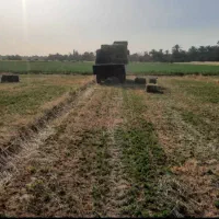 اجاره ۱۰ هکتار زمین کشاورزی آب شیرین هندوانه|اجارهٔ دفتر صنعتی، کشاورزی، تجاری|ایرانشهر, |دیوار