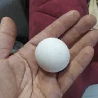 سنگ آسیاب معاوضه دارم