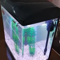 آکواریوم شرکتی AQUA