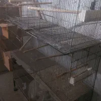 فروش قفس پرون