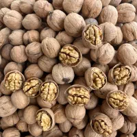 گردو کاغذی اعلا (پوست پیازی)