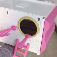 لانه عروس هلندی