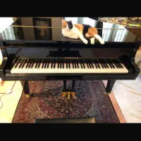 آموزش پیانو،سلفژ، هارمونی، کنترپوان و دیسونانس