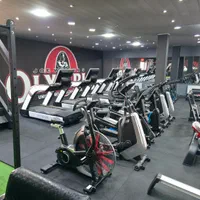 ایربایک فول باشگاهی|تجهیزات ورزشی|تبریز, |دیوار