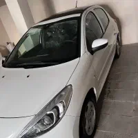 207 پانا دنده ای