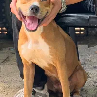 گمشده محدوده فلسفی