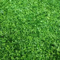 سبزیجات تازه و آماده