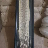تابلو