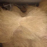 جارو محلی|لوازم نظافت|نیشابور, بنیاد شهید|دیوار